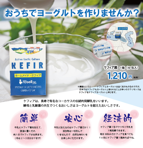 ケフィア菌